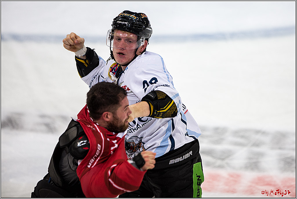 Koelner Haie - Straubing Tigers, 03.10.2016
